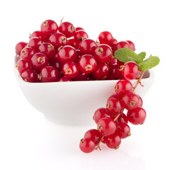 Red Currants
