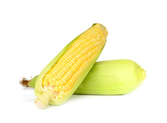 corn isolated on white background