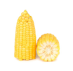 corn isolated on white background