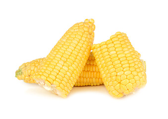 corn isolated on white background