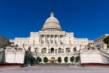 Fototapeta na wymiar Capitol building Washington DC sunlight day US