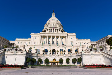Obraz premium Capitol building Washington DC sunlight day US