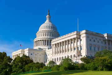 Obraz premium Capitol building Washington DC sunlight day US