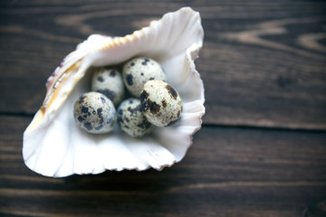 Quail egg in marine shell on the wooden table. Selective soft