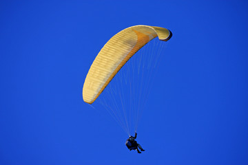 paraglider