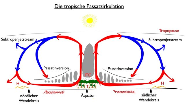 Die tropische Passatzirkulation