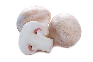 Champignons isolated on white background
