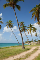 sea view in Antigua