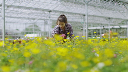 Portrait of cheerful worker in the agriculture industry