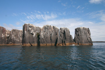 isole farne scozia