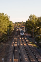 Tren de Pasajeros en Movimiento entre Arboles