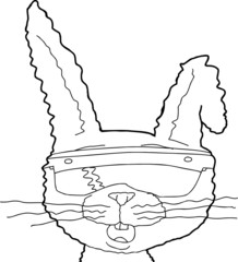 Outline of Rabbit with Augmented Vision