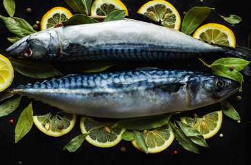 fresh raw mackerel fish  with lemon and bay leaves