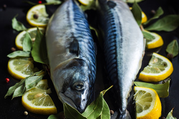 fresh raw mackerel fish  with lemon and bay leaves