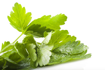 parsley leaves close up on the white