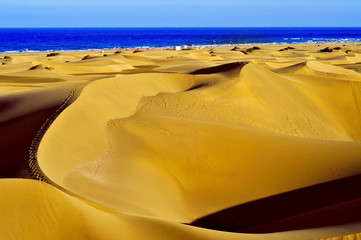 Fototapeta na wymiar Natural Reserve of Dunes of Maspalomas, in Gran Canaria, Spain