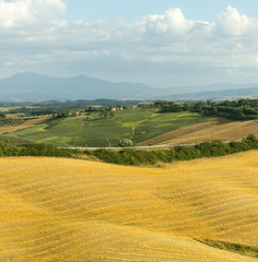 Crete Senesi (Tuscany, Italy)