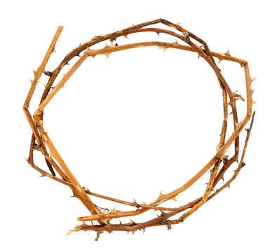 Crown of thorns, isolated on white