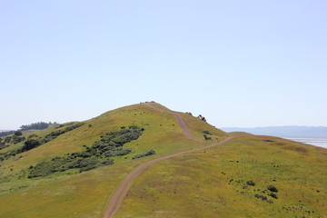 Lush green hills with path