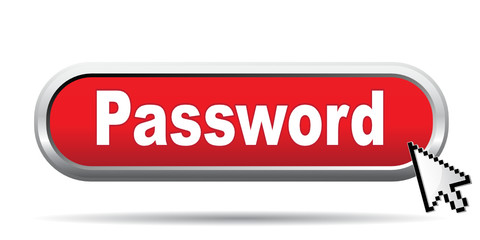 PASSWORD ICON