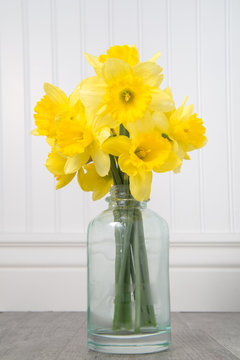 Daffodils in a bottle on a white beadboard background