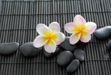 Fototapeta na wymiar Two pink frangipani flower with pile of stones on bamboo mat