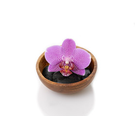 pink orchid with black stones in wooden bowl