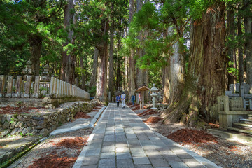 Graveyard at Okunoin Temple in Mt. Koya, Wakayama