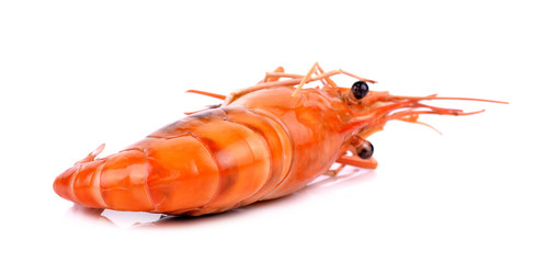 Shrimp isolated on white background