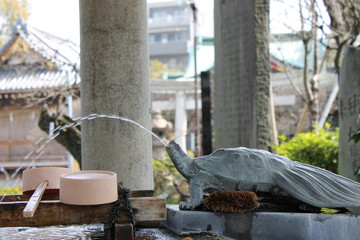 亀の水汲み場