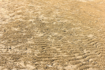 Sand beach background