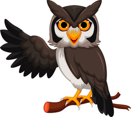owl cartoon posing
