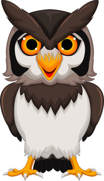 owl cartoon posing