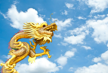 Fototapeta na wymiar golden Chinese dragon on sky