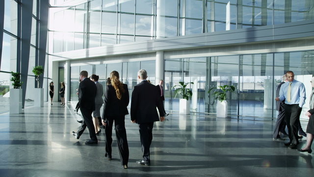 Diverse group of business people in a light and modern office building