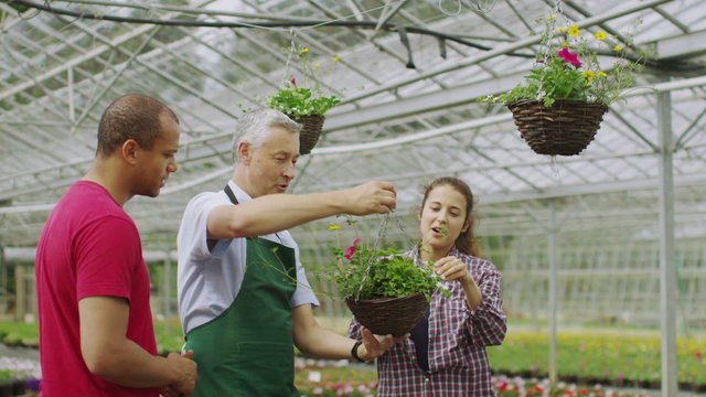 Plant nursery worker helping couple who are shopping for plants at garden centre