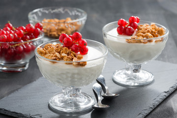 creamy panna cotta with granola and red currants