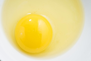 fresh egg in a bowl close up