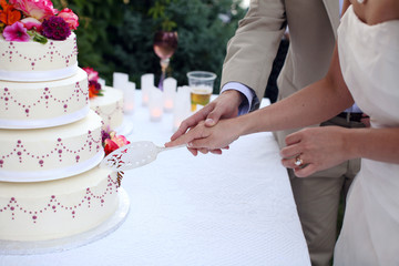 Bride and Groom at Wedding Reception Cutting the Wedding Cake