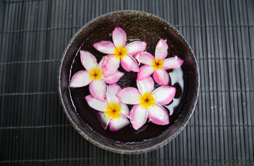 Obraz na płótnie Canvas frangipani flower in water bowl on mat