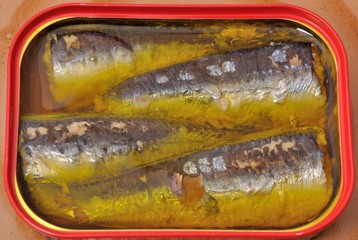 Sardines in a tin