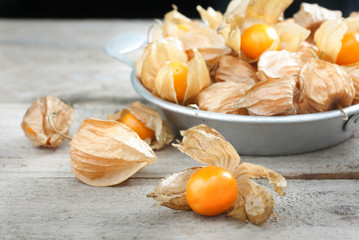 cape gooseberry