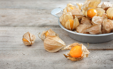 cape gooseberry