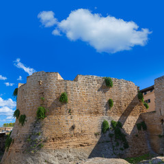 Fototapeta premium Alcudia Old Town fortress wall in Majorca Mallorca