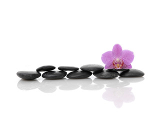 Pink orchid on stacked black stones 