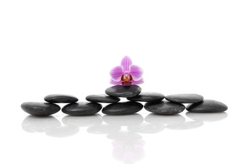 Fototapeta na wymiar Set of Pink orchid and stacked black stone 