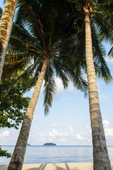 Tropical beach with coconut trees, Chang island, Thailand
