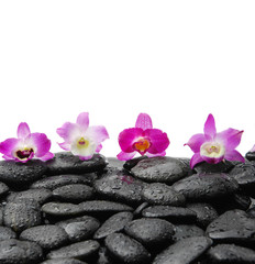 Wet pebbles and four pink orchids 