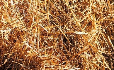 background of straw and dry hay