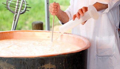 Elder Cheesemaker pours milk rennet in copper pot for making che